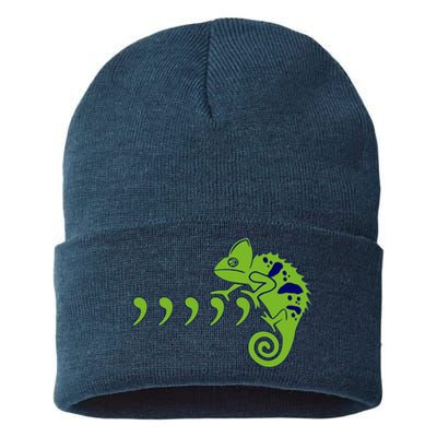 COMMA CHAMELEON FUNNY SONG PARODY MEME Sustainable Knit Beanie