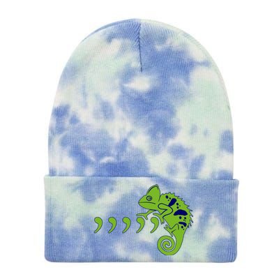 COMMA CHAMELEON FUNNY SONG PARODY MEME Tie Dye 12in Knit Beanie