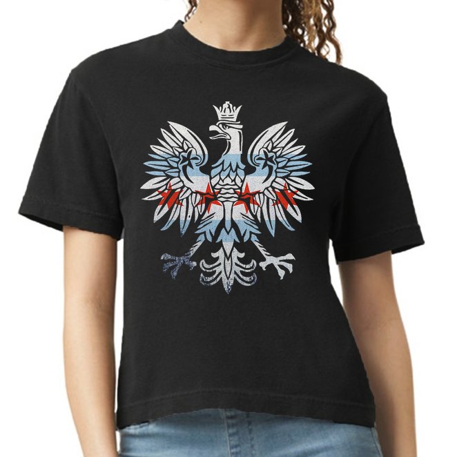 Cool Chicago Flag Polish Eagle Funny Illinois Emblem Comfort Colors Boxy T-Shirt
