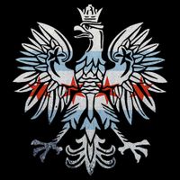 Cool Chicago Flag Polish Eagle Funny Illinois Emblem Mesh Reversible Basketball Jersey Tank