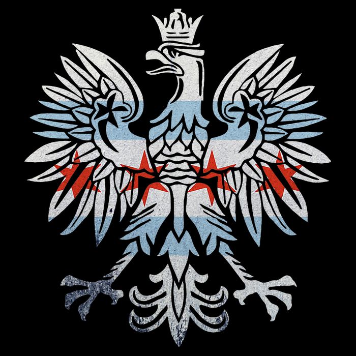 Cool Chicago Flag Polish Eagle Funny Illinois Emblem Mesh Reversible Basketball Jersey Tank