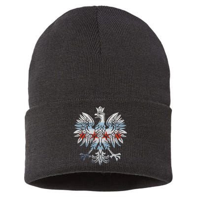 Cool Chicago Flag Polish Eagle Funny Illinois Emblem Sustainable Knit Beanie