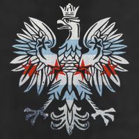 Cool Chicago Flag Polish Eagle Funny Illinois Emblem 25L Jumbo Tote