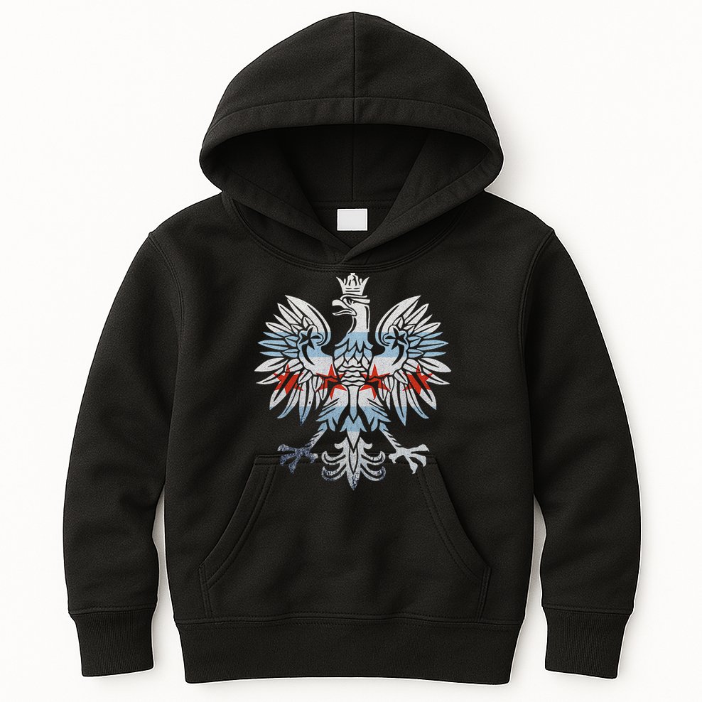Cool Chicago Flag Polish Eagle Funny Illinois Emblem Kids Hoodie