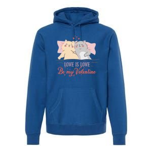 Cat Couple Gift Love Is Love Gift Valentine's Day Meaningful Gift Premium Hoodie