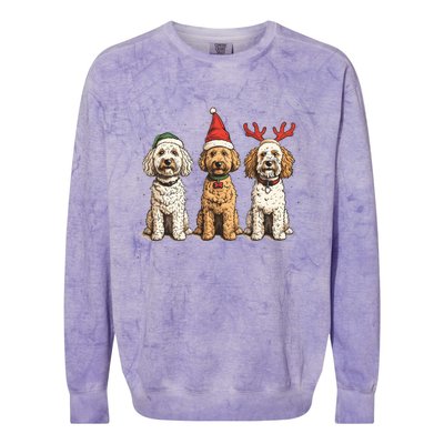 Cute Christmas Goldendoodle Dogs Santa Hat Reindeer Antlers Funny Gift Colorblast Crewneck Sweatshirt