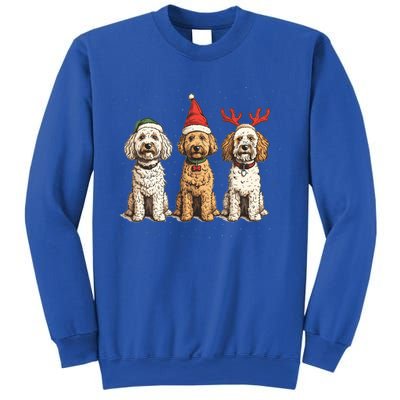 Cute Christmas Goldendoodle Dogs Santa Hat Reindeer Antlers Funny Gift Sweatshirt