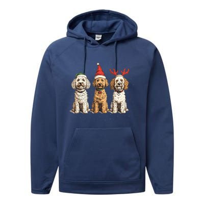 Cute Christmas Goldendoodle Dogs Santa Hat Reindeer Antlers Funny Gift Performance Fleece Hoodie