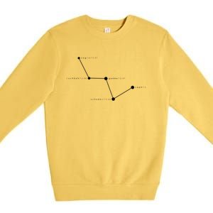 Cassiopeia Constellation Gift Meaningful Gift Astronomy Space Cool Gift Premium Crewneck Sweatshirt