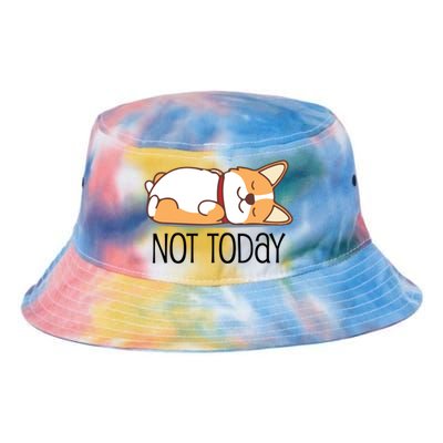 Cute Corgi Gift Funny Dog Lover Gift Not Today Lazy Animal Gift Tie Dye Newport Bucket Hat