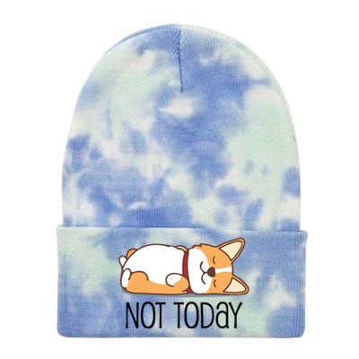 Cute Corgi Gift Funny Dog Lover Gift Not Today Lazy Animal Gift Tie Dye 12in Knit Beanie