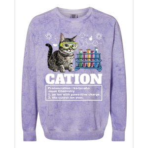 Cation Chemistry Humor Science Teacher Cat Pun Cat Lover Gift Colorblast Crewneck Sweatshirt