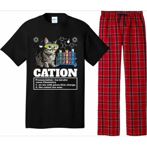 Cation Chemistry Humor Science Teacher Cat Pun Cat Lover Gift Pajama Set