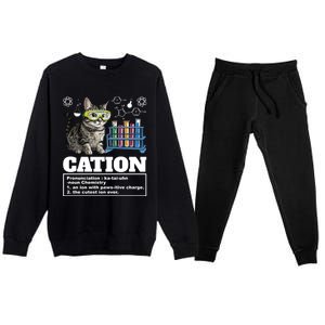 Cation Chemistry Humor Science Teacher Cat Pun Cat Lover Gift Premium Crewneck Sweatsuit Set