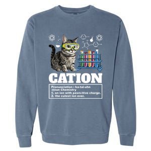 Cation Chemistry Humor Science Teacher Cat Pun Cat Lover Gift Garment-Dyed Sweatshirt