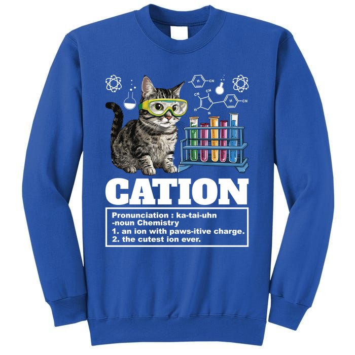 Cation Chemistry Humor Science Teacher Cat Pun Cat Lover Gift Sweatshirt