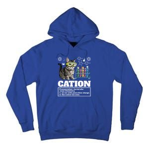 Cation Chemistry Humor Science Teacher Cat Pun Cat Lover Gift Tall Hoodie