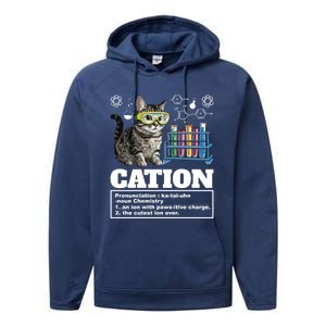 Cation Chemistry Humor Science Teacher Cat Pun Cat Lover Gift Performance Fleece Hoodie