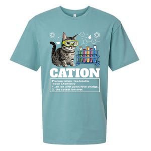 Cation Chemistry Humor Science Teacher Cat Pun Cat Lover Gift Sueded Cloud Jersey T-Shirt