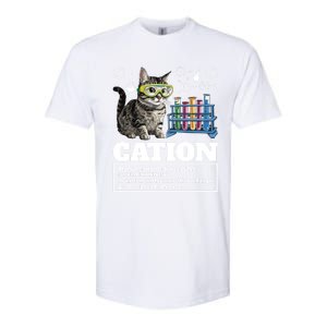 Cation Chemistry Humor Science Teacher Cat Pun Cat Lover Gift Softstyle CVC T-Shirt