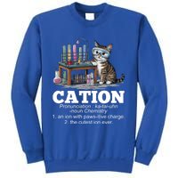 Cation Chemistry Humor Science Teacher Cat Pun Funny Gift Sweatshirt