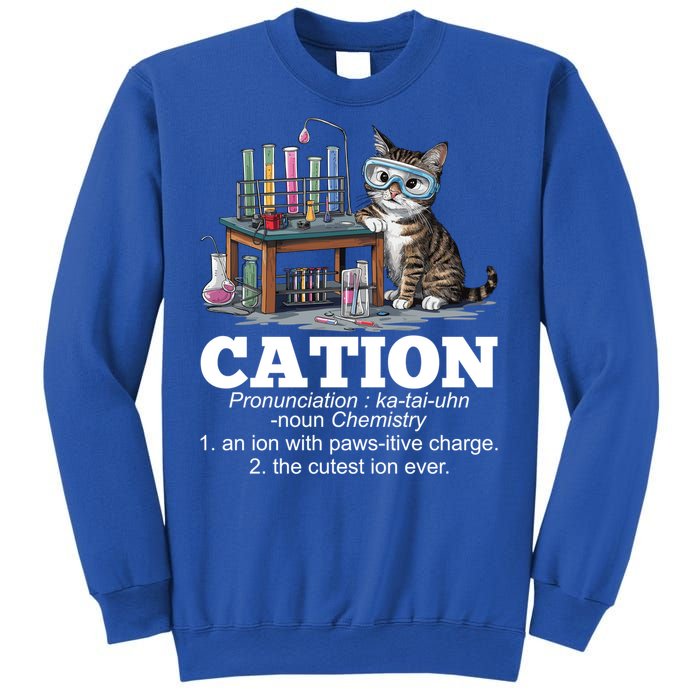 Cation Chemistry Humor Science Teacher Cat Pun Funny Gift Sweatshirt