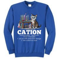 Cation Chemistry Humor Science Teacher Cat Pun Funny Gift Tall Sweatshirt