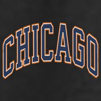 Chicago 11oz C Handle Ceramic Mug