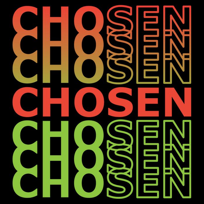 Chosen Visor