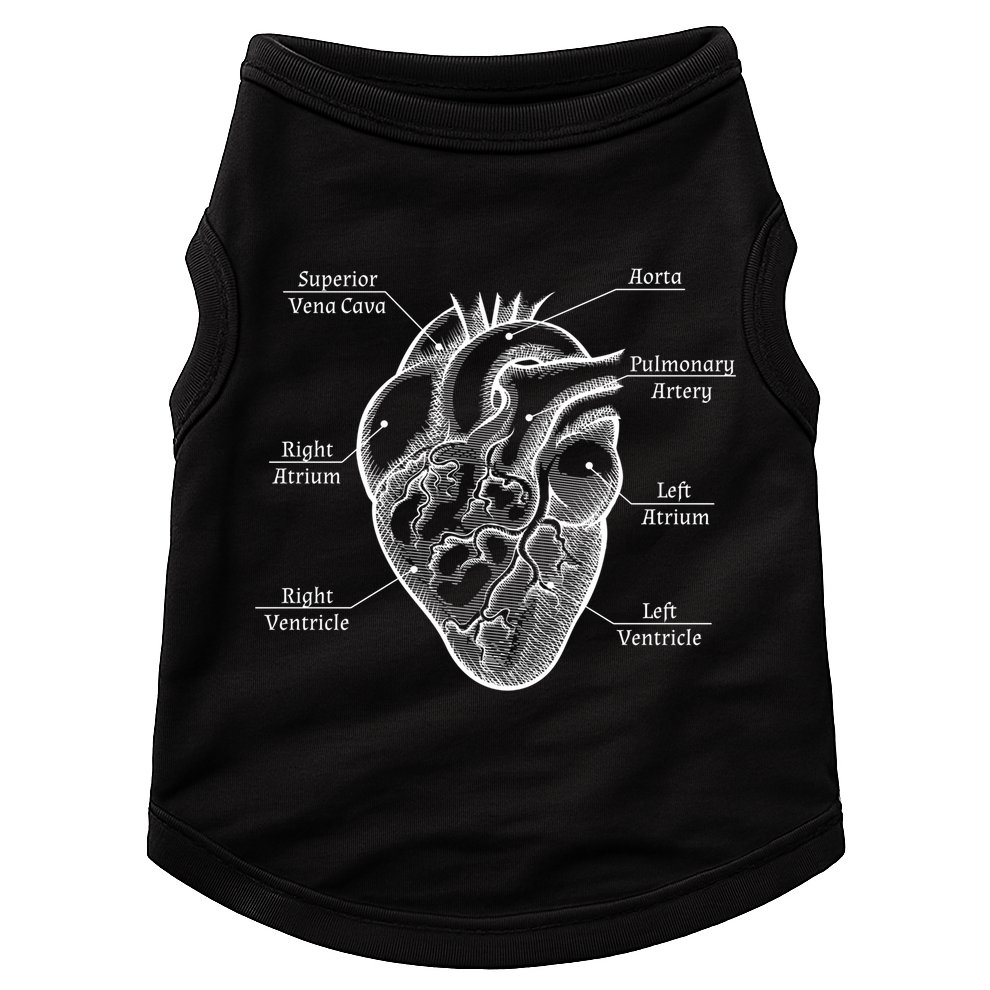 Cardiology Cardiologist Heart Anatomy Distressed Gift Doggie Tank