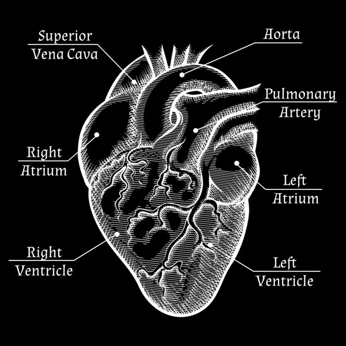 Cardiology Cardiologist Heart Anatomy Distressed Gift Backpack