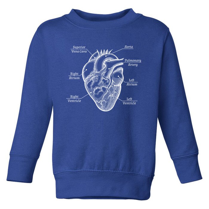 Cardiology Cardiologist Heart Anatomy Distressed Gift Toddler Sweatshirt