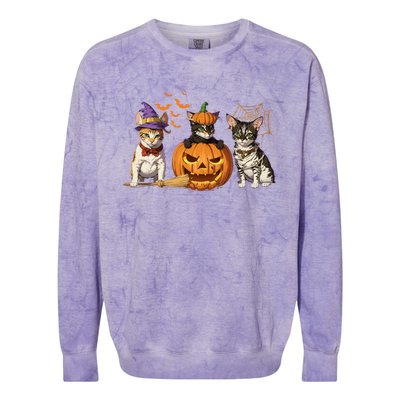 Cute Cat Halloween Witch Mummy Pumpkin Funny Cat Lover Gift Colorblast Crewneck Sweatshirt