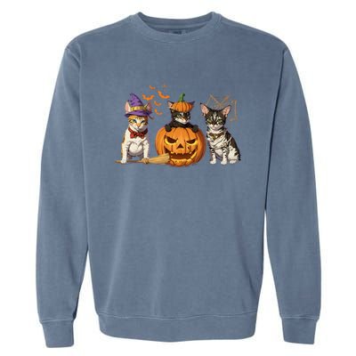 Cute Cat Halloween Witch Mummy Pumpkin Funny Cat Lover Gift Garment-Dyed Sweatshirt