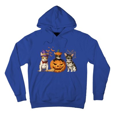 Cute Cat Halloween Witch Mummy Pumpkin Funny Cat Lover Gift Hoodie