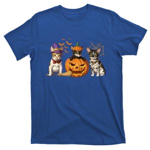 Cute Cat Halloween Witch Mummy Pumpkin Funny Cat Lover Gift T-Shirt