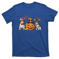 Cute Cat Halloween Witch Mummy Pumpkin Funny Cat Lover Gift T-Shirt