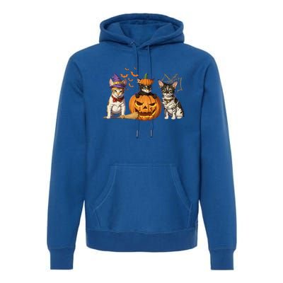 Cute Cat Halloween Witch Mummy Pumpkin Funny Cat Lover Gift Premium Hoodie