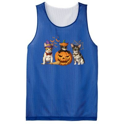 Cute Cat Halloween Witch Mummy Pumpkin Funny Cat Lover Gift Mesh Reversible Basketball Jersey Tank