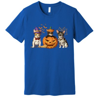 Cute Cat Halloween Witch Mummy Pumpkin Funny Cat Lover Gift Premium T-Shirt