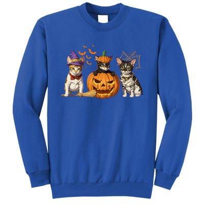 Cute Cat Halloween Witch Mummy Pumpkin Funny Cat Lover Gift Tall Sweatshirt