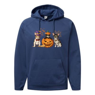 Cute Cat Halloween Witch Mummy Pumpkin Funny Cat Lover Gift Performance Fleece Hoodie