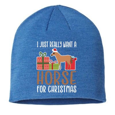 Cute Christmas Horse I Want A Horse Gift Sustainable Beanie