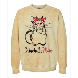 Chinchilla Colorblast Crewneck Sweatshirt