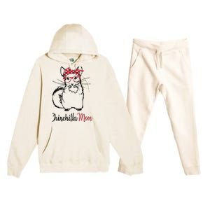 Chinchilla Premium Hooded Sweatsuit Set