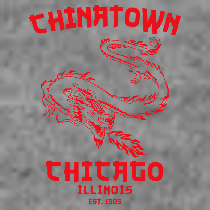 Chicago Chinatown Illinois Chinese American Loop South Side Sustainable Beanie