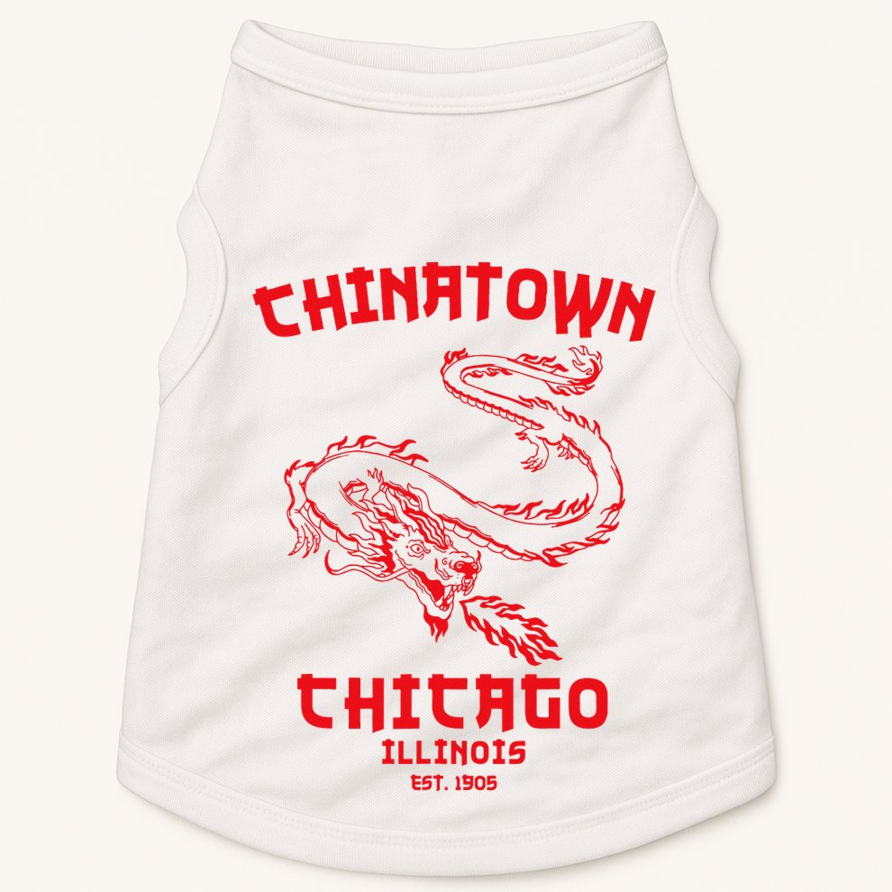 Chicago Chinatown Illinois Chinese American Loop South Side Doggie Tank