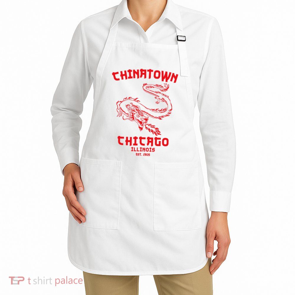 Chicago Chinatown Illinois Chinese American Loop South Side Apron