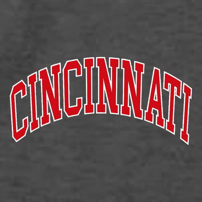 Cincinnati Vector Backpack