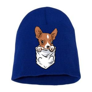 Cute Chihuahua In Your Pocket Christmas Cute Gift Short Acrylic Beanie